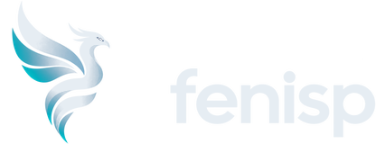 Feni ISP